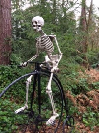 A skeleton riding a penny farthing 