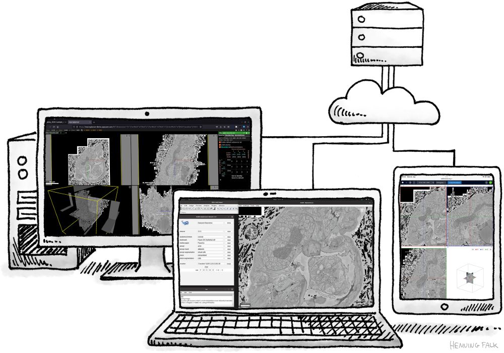 Image showing a cartoon of a cloud computer connected by lines to three different devices, a PC workstation, a laptop, and a tablet. Each has some electron microscopy data shown on their screen.
Acknowledgement: "Multiple clients" by Henning Falk, ©2022 NumFOCUS, is used under a CC BY 4.0 license