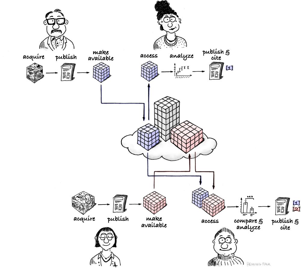 Image showing researchers surrounding a sketch of different datasets, represented as blocks of cubes. Arrows connect between the different data, indicating various processes like "acquire", "publish", "make available", "analyze"
Acknowledgement: "FAIR re-use" by Henning Falk, ©2022 NumFOCUS, is used under a CC BY 4.0 license