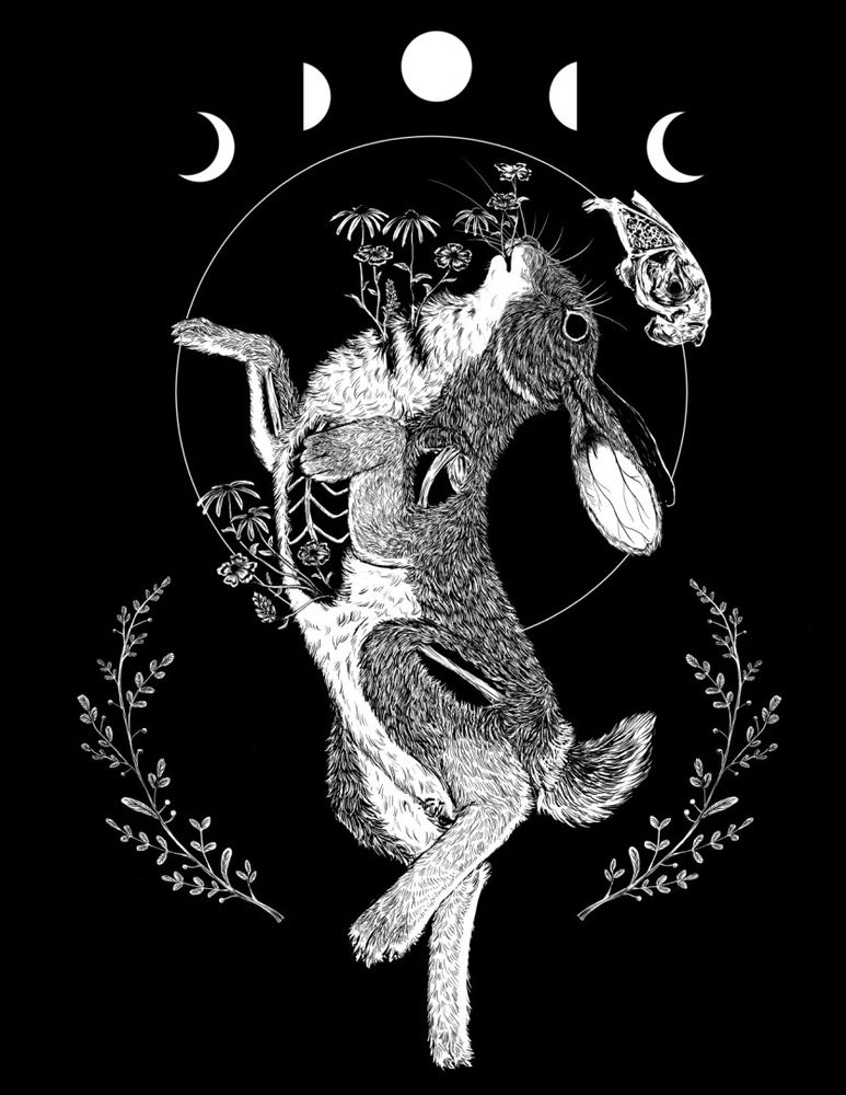 Momento Vivere shirt design. A rabbit is in a dead position laying on it's side and with some bones being visible through the skin. There are wildflowers growing out of some of the exposed bone areas on the body, some growing out of the mouth. There is a rabbit skull floating just above the rabbit's head at the same angle facing upward and toward the left. There is a band of the phases of the moon along the top of the illustration. There is a thin white circular line behind the rabbit like a halo. There is a piece of sage on the left and right sides of the rabbit's lower body.