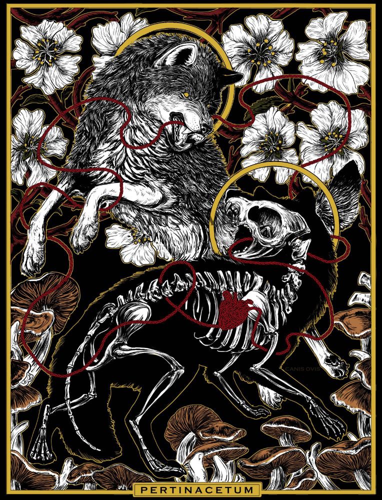 The piece has a rectangular frame with the word "PERTINACETUM" on the bottom. There is a wolf reared up and snarling toward a skeleton wolf snarling back, both have golden circular halos around them. Behind the wolf on top are almond blossom flowers and branches. Behind the skeleton wolf are corpse eater mushrooms and bones. 