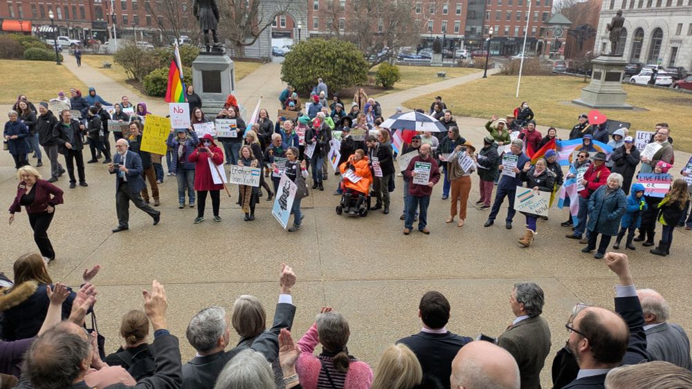 Large group of supporters in front of the State House, and most of the NH Dems on the steps to support that group. 