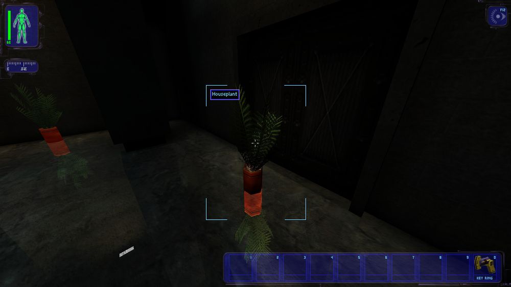Screenshot of Deus Ex with a potted plant. The plant close, but takes up a smaller portion of the image