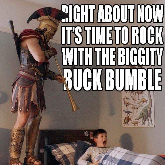 The meme shows a person dressed in what appears to be a Roman soldiers outfit blowing a long horn at a small child in a modern bedroom to wake him up 

The important part is the text 
"Right about now it's time to rock with the biggity buck Bumble"