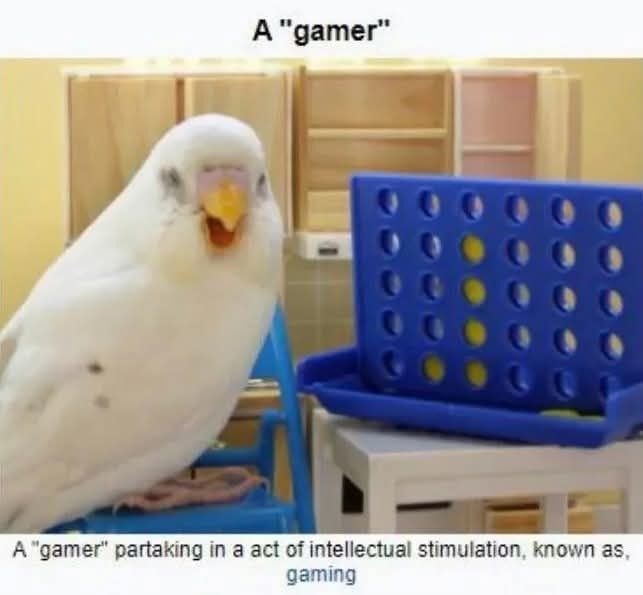 The picture show is a gamer partaking in an act of intellectual stimulation known as gaming








Is burb