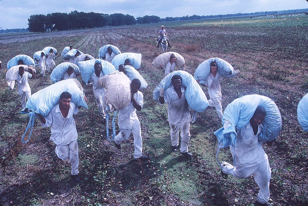 Oct 15, 1997 — ... Midway, Texas. A former slave plantation, the Ferguson Unit is a maximum security Texas prison and a working farm.