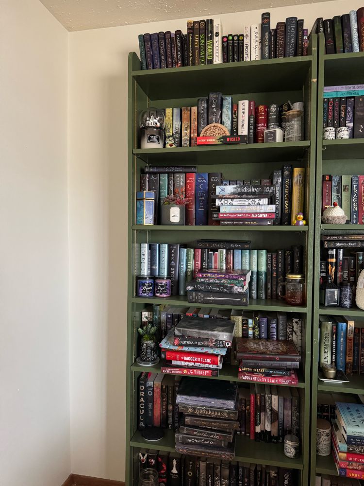 A floor to ceiling green bookshelf is against a white wall lined with book. 