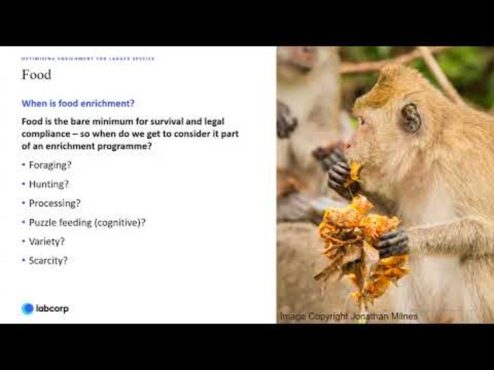 Optimising Enrichment For Larger Species