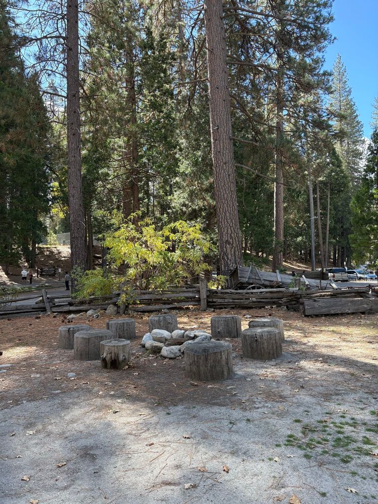 Campfire circle with no one seated at it