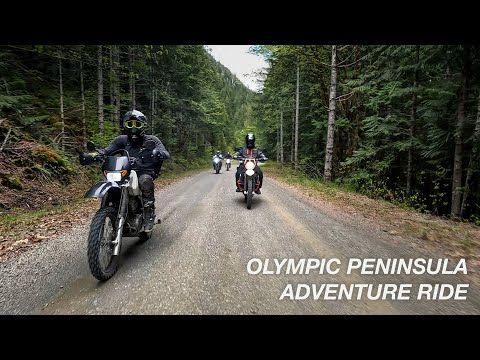 Adventure Ride | Hamma Hamma, WA | Olympic Peninsula
