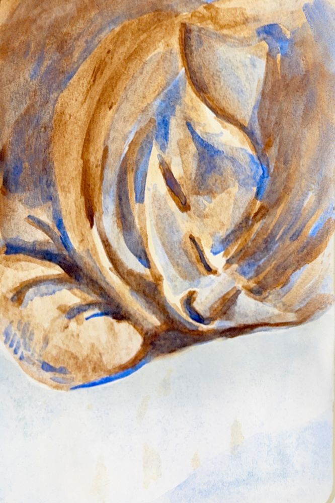 A watercolor painting of a cat snuggling. The composition is zoomed into to her face and front paw.