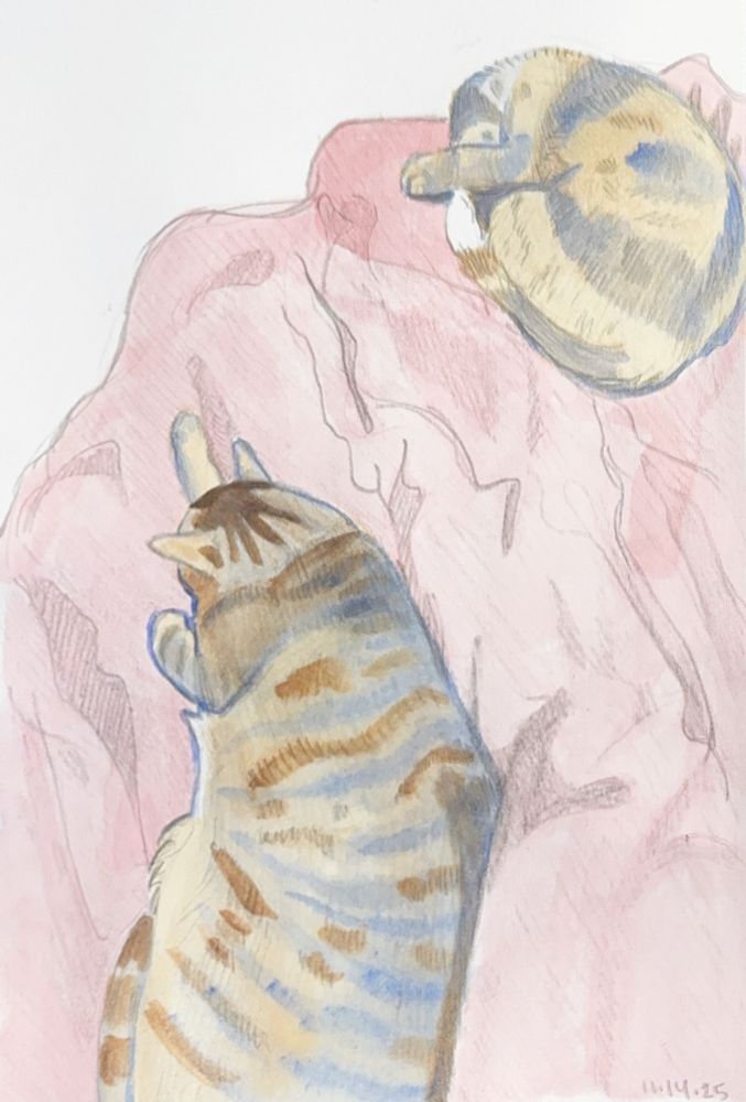 Two cats lay near each other on a wrinkled pink blanket, a pencil and water color drawing.