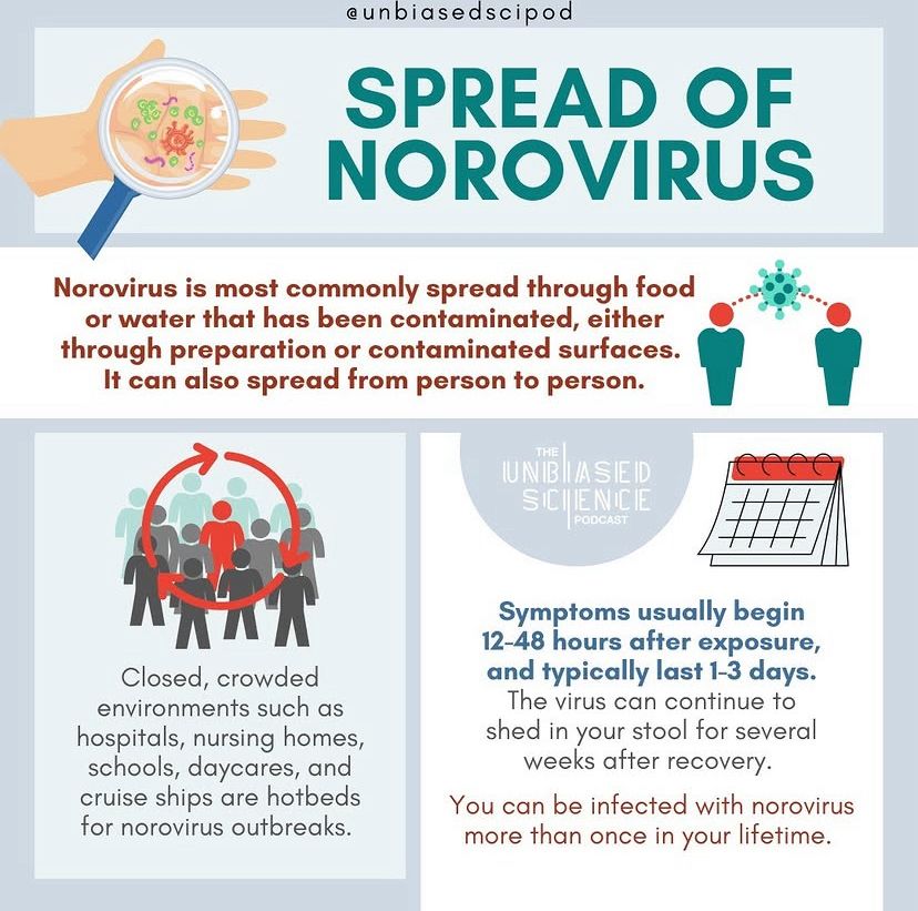 SPREAD OF NOROVIRUS

Norovirus is most commonly spread through food or water that has been contaminated, either through preparation or contaminated surfaces. It can also spread from person to person.

Closed, crowded environments such as hospitals, nursing homes, schools, daycares, and cruise ships are hotbeds for norovirus outbreaks.

Symptoms usually begin 12-48 hours after exposure, and typically last 1-3 days.

The virus can continue to shed in your stool for several weeks after recovery.

You can be infected with norovirus more than once in your lifetime.