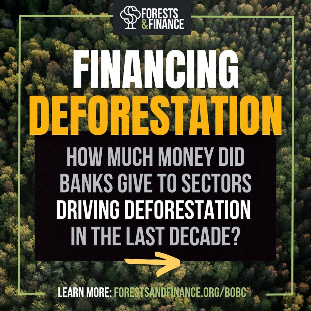 Background photo of a forest. Green border. Forests & Finance logo at top of image. “FINANCING DEFORESTATION” “HOW MUCH MONEY DID BANKS GIVE TO SECTORS DRIVING DEFORESTATION IN THE LAST DECADE?” Arrow icon pointing right. “LEARN MORE: FORESTSANDFINANCE.ORG/BOBG”