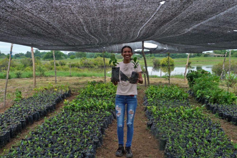 Tackling climate change in one of Colombia’s largest wetlands