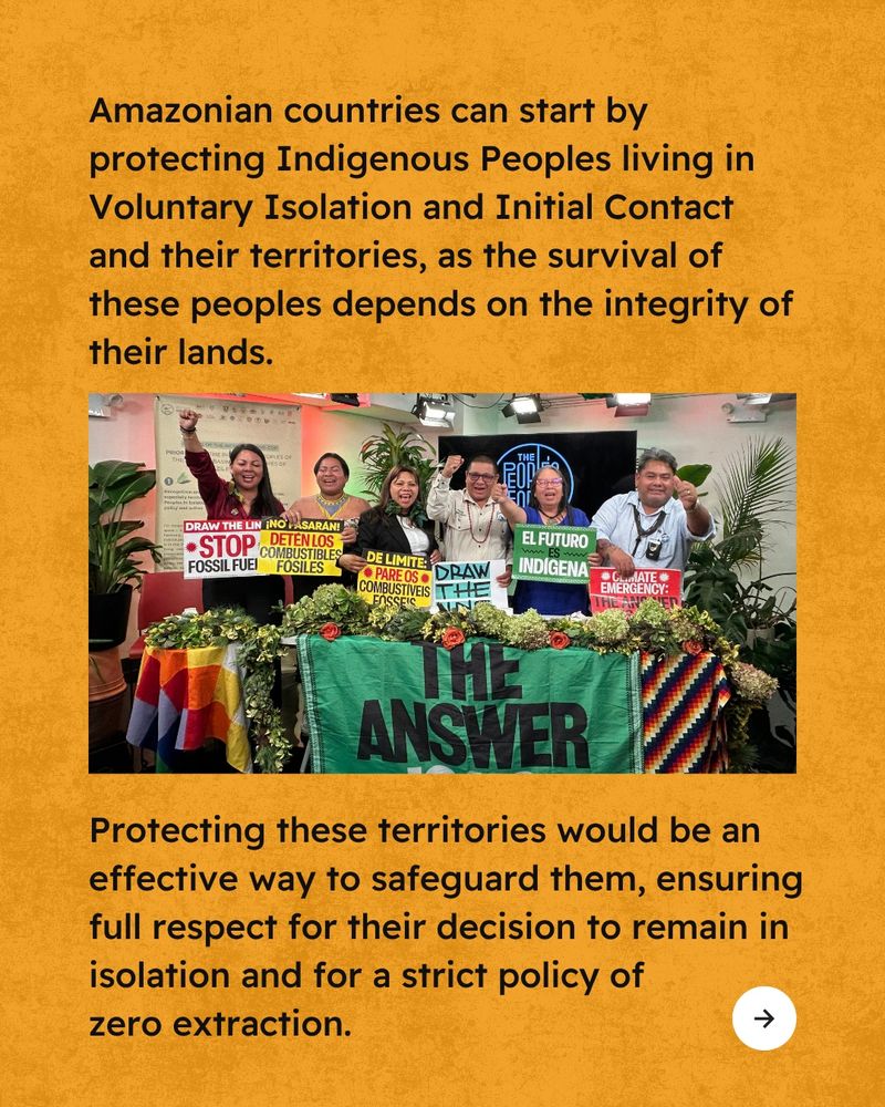 Orange background with textured overlay. “Amazonian countries can start by protecting Indigenous Peoples living in Voluntary Isolation and Initial Contact and their territories, as the survival of these peoples depends on the integrity of their lands.” Photo of Indigenous governments at a Climate Week panel titled “Defending
a Living Amazon: Indigenous Peoples’ Proposals on the Road to COP30.” “Protecting these territories would be an effective way to safeguard them, ensuring full respect for their decision to remain in isolation and for a strict policy of zero extraction.”Arrow icon pointing right in bottom right corner. 
