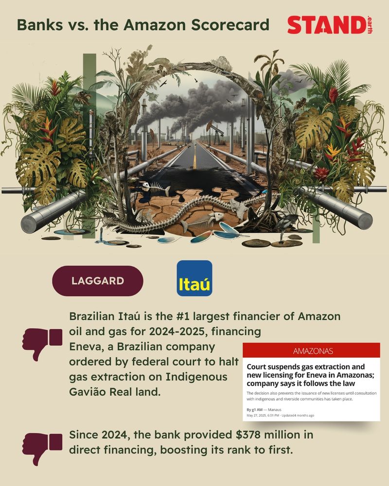 Tan background. “Banks vs. the Amazon Scorecard” header text. Stand.earth logo in top right corner. Illustration of Amazon rainforest with expanding oil and gas infrastructure, with air pollution clouding the skies and the only animals to be seen are either birds flying far overhead or skeletons of snakes and fish on the ground. Dried, dying plants of the rainforest are crowded by pipelines. Maroon “LAGGARD” icon. Itau logo. Maroon thumbs down icon. “Brazilian Itaú is the #1 largest financier of Amazon oil and gas for 2024-2025, financing Eneva, a Brazilian company ordered by federal court to halt gas extraction on Indigenous Gavião Real land.” Screenshot of a headline from Amazonas reading “Court suspends gas extraction and new licensing for Eneva in Amazonas; company says it follows the law”, published on May 27, 2025. Maroon thumbs down icon. “Since 2024, the bank provided $378 million in direct financing, boosting its rank to first.”