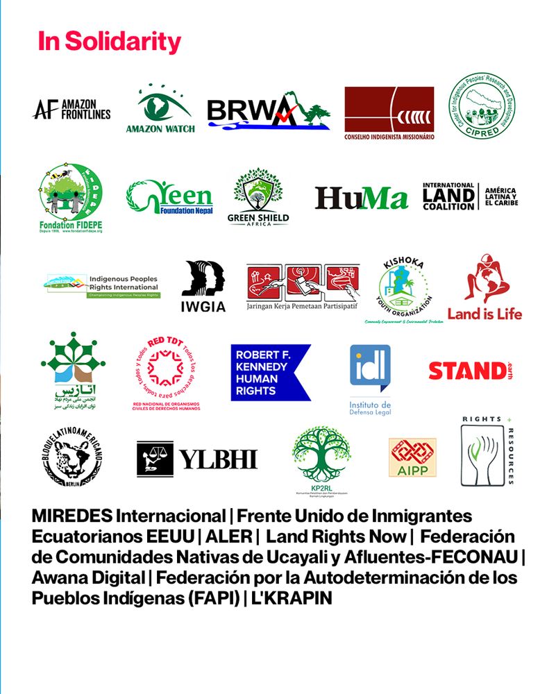 White background. “In solidarity” Logos for Amazon Frontlines, Amazon Watch, BRWA, Consuelo Indigenista Missionário, CIPRED, Stand.earth, International Land Coalition, and so many more.