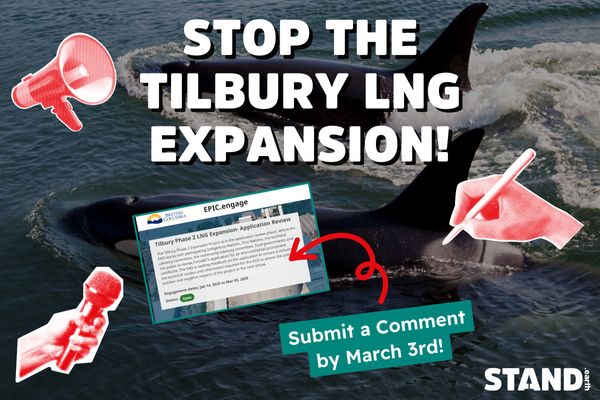 Background photo of two orcas swimming. Text reads “STOP THE TILBURY LNG EXPANSION!” Red cutouts of a megaphone, a hand writing with a pen, and a hand holding a microphone. Screenshot of the Tilbury Phase 2LNG Expansion application review. Red arrow points from text reading “Submit a Comment by march 3rd” to the screenshot. Stand.earth logo in bottom right corner.