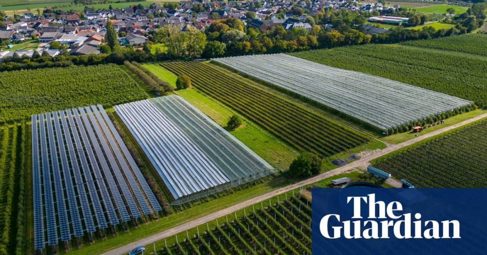 ‘Staggering’ green growth gives hope for 1.5C, says global energy chief