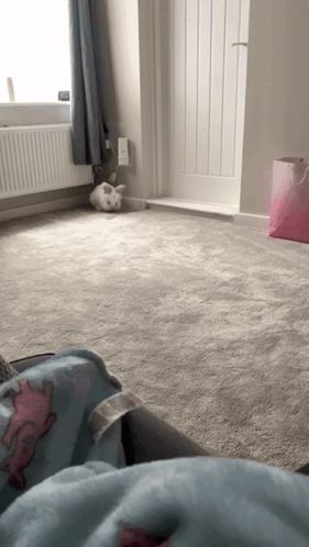 a white rabbit laying on the floor in a living room