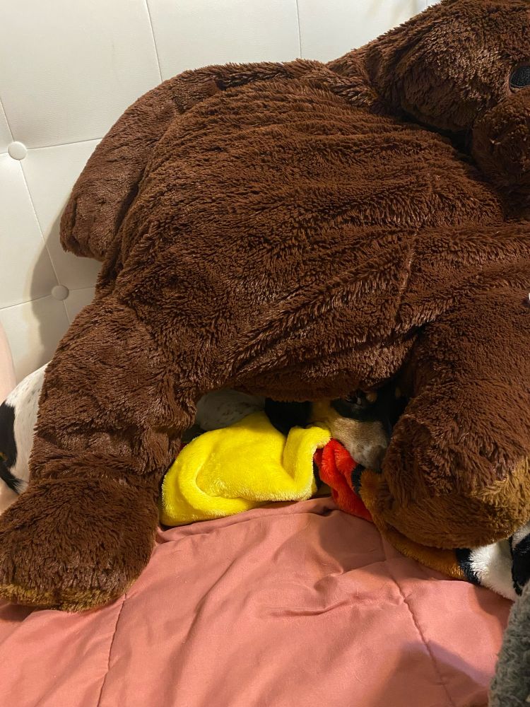 Little dog sleeping under a large stuffed bear