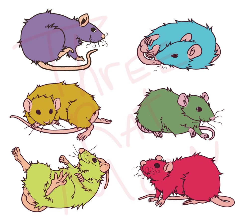 six full-bodied multi-colored cartoon rats drawn in different positions