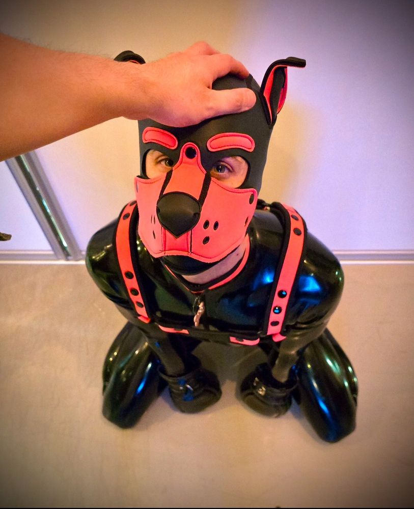 Pup, Rubber, Latex, Pupplay, goodboy, sub, collar