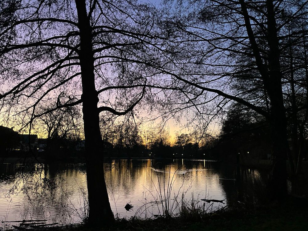 Sonnenuntergang mit Spiegelung auf dem Teich in den Farben sonnengelb, rosa und himmelblau 