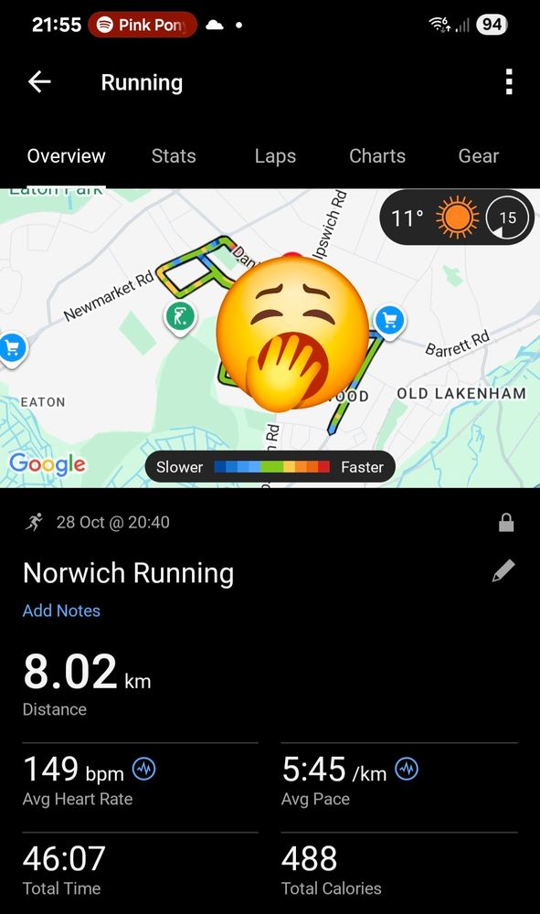 Garmin screenshot of my run 8km. 
