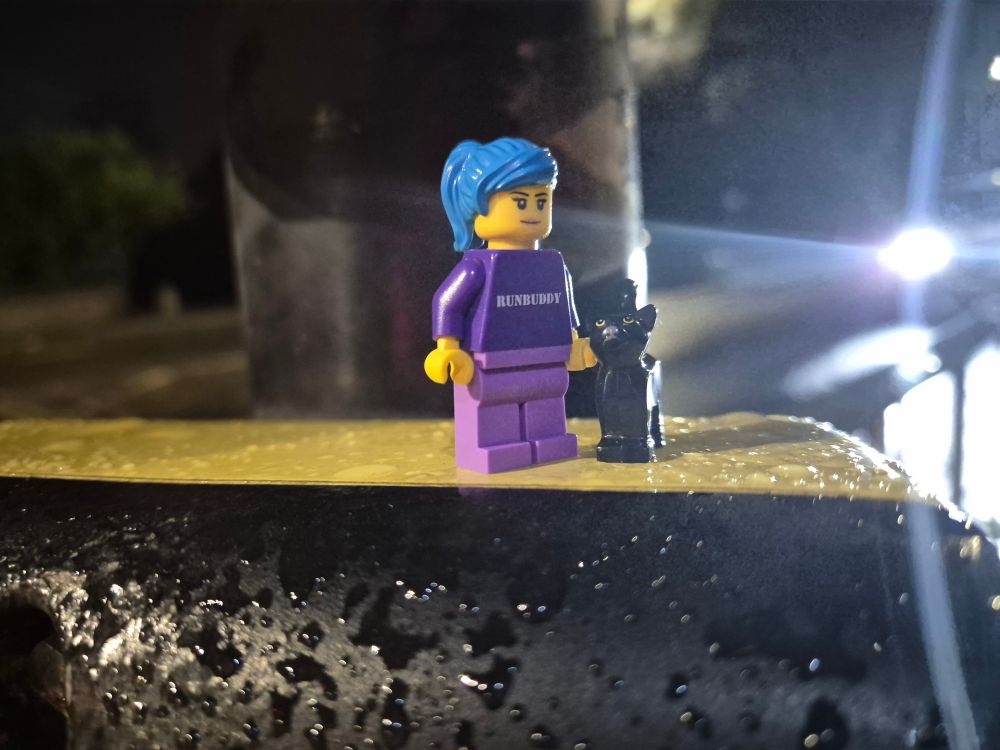 Legorunbuddy and legorunkitten stood on the button pressing at a pedestrian crossing. Its wet and dark and you can see car headlights on the road behind. 