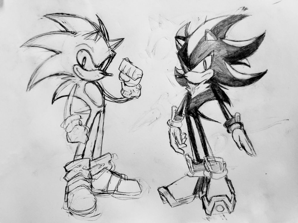 A pencil sketch of Sonic the Hedgehog and Shadow the Hedgehog. They look pretty cool.