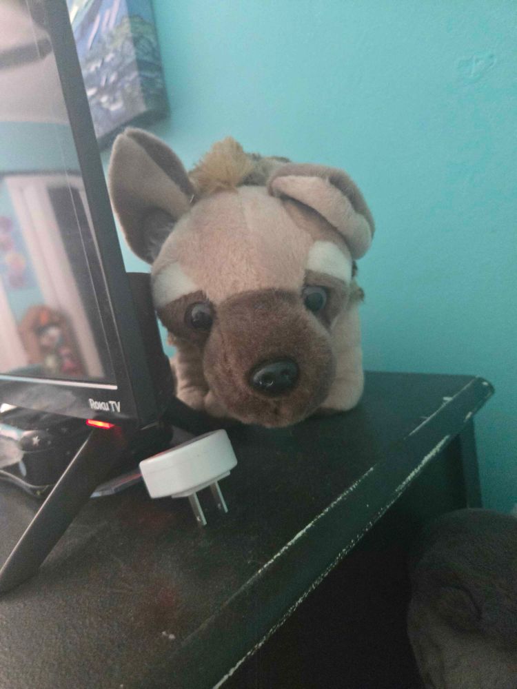 A stuffed hyena sitting on a dresser