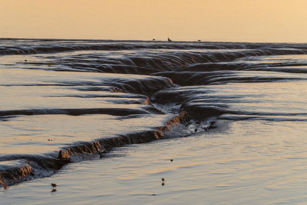 Gully in mud at low tide in the River Mersey