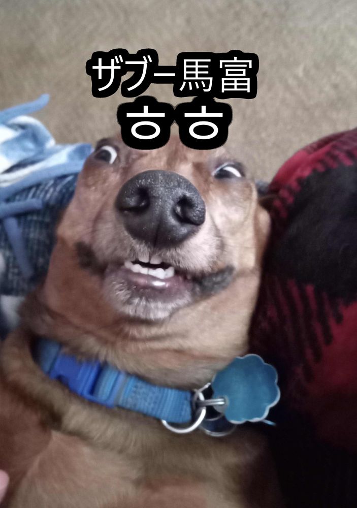 Comment image