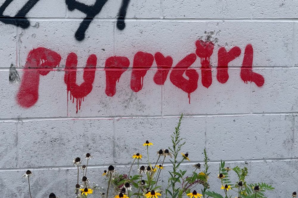 Graffiti on the Somerville Community Path that says 