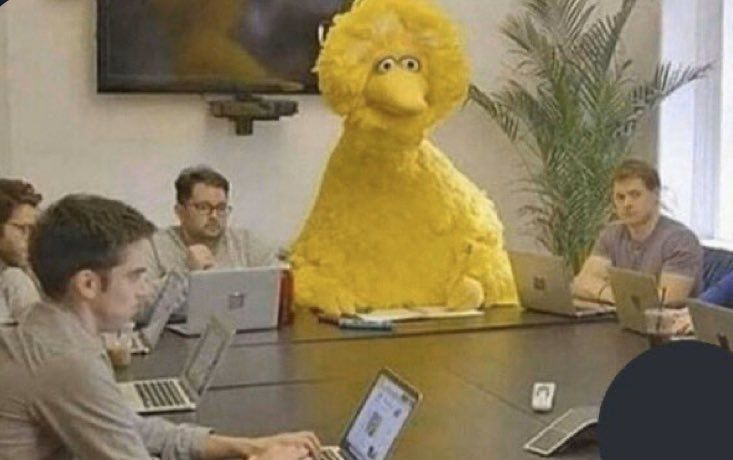 Meme: Big Bird in Meeting