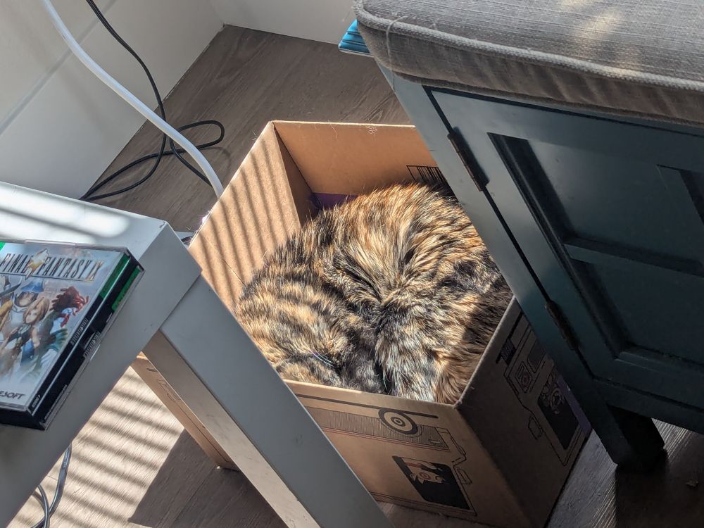 A fuzzy tortoiseshell colored blob has expanded to fill a box in the sun
