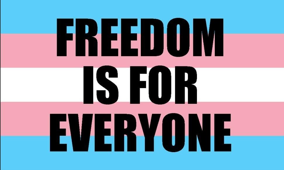 Image shows a Trans flag with the words "Freedom is for everyone".