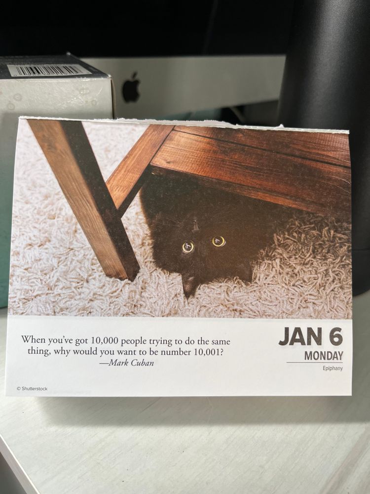 a photo of a cat a day calendar with a cat peeking out from under a piece of furniture, dated Jan 6. The quote on the page reads "When you've got 10,000 people trying to do the same thing, why would you want to be number 10,001?" --Mark Cuban.