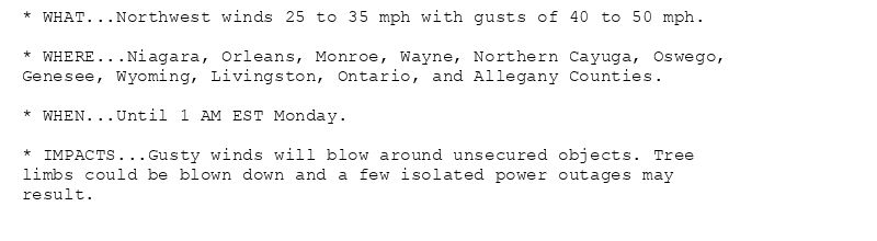 * WHAT...Northwest winds 25 to 35 mph with gusts of 40 to 50 mph.

* WHERE...Niagara, Orleans, Monroe, Wayne, Northern Cayuga, Oswego,
Genesee, Wyoming, Livingston, Ontario, and Allegany Counties.

* WHEN...Until 1 AM EST Monday.

* IMPACTS...Gusty winds will blow around unsecured objects. Tree
limbs could be blown down and a few isolated power outages may
result.