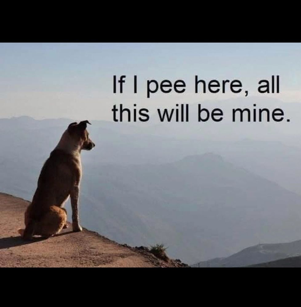 Comment image