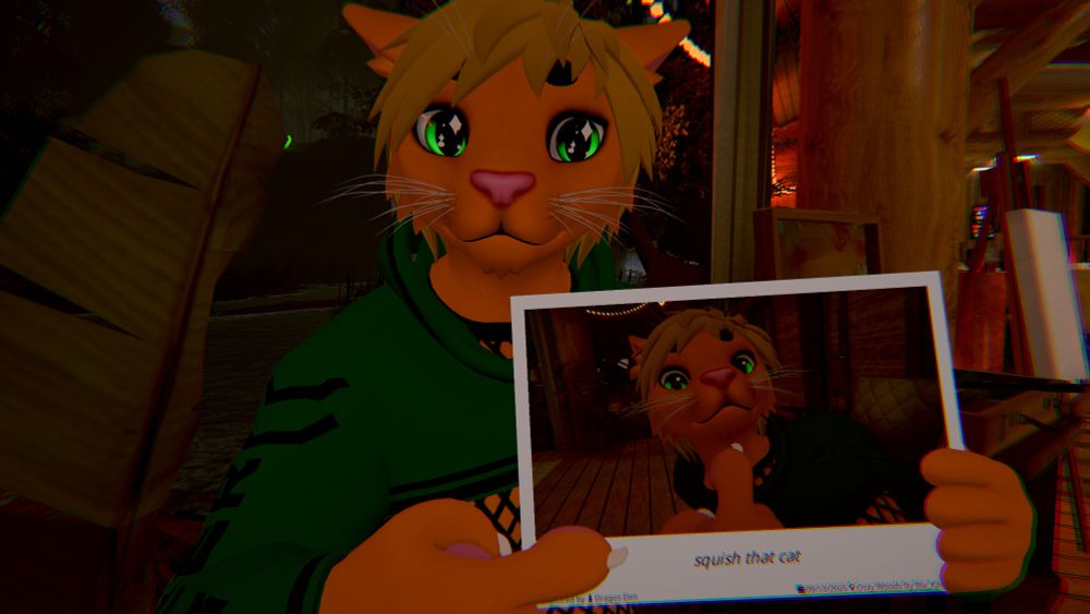 Photo text says "squish that cat"