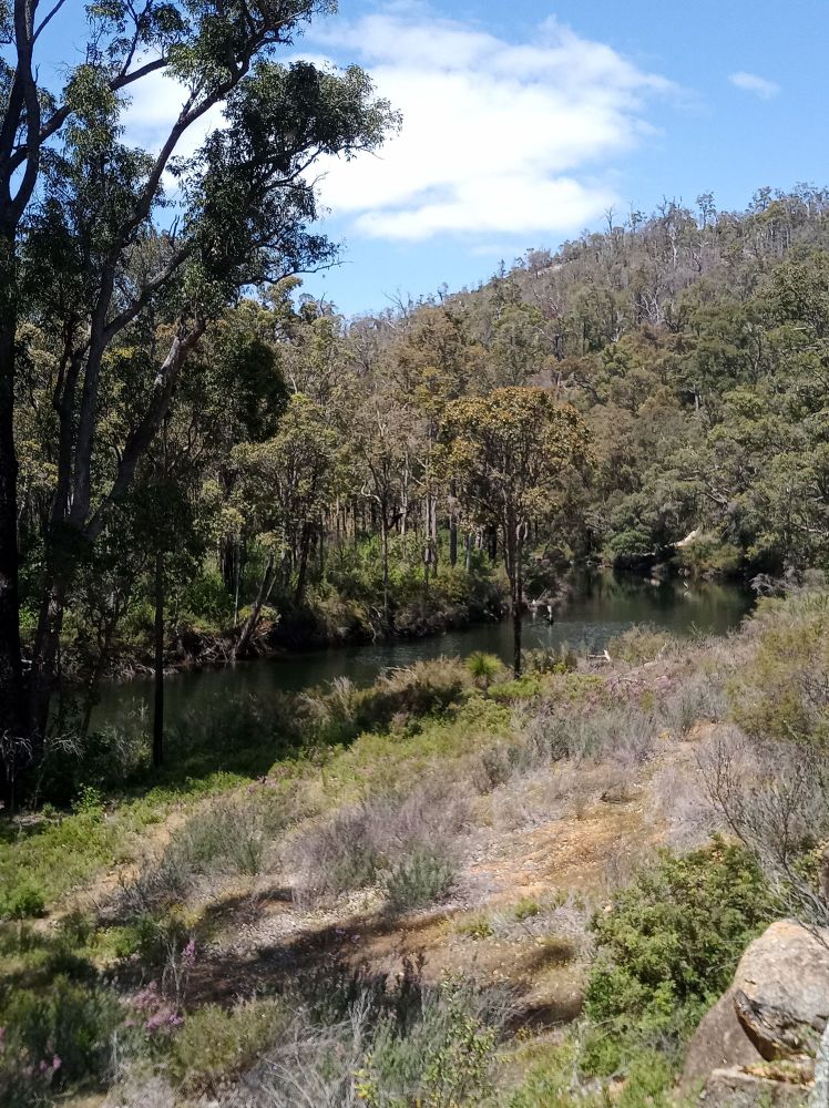 Forest and rock in Western Australia.
