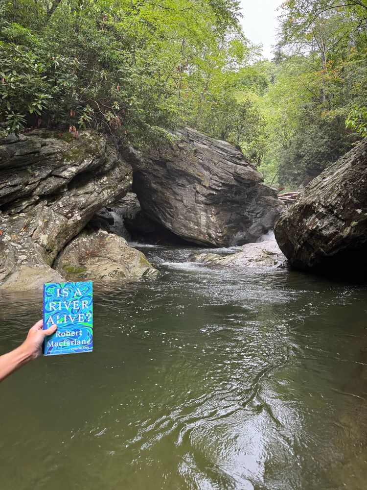 Photo showing a person’s hand holding a copy of Robert Macfarlane’s Is a River Alive above a creek in the North Carolina mountains, with large boulders, two small waterfalls, and green forest in the background 