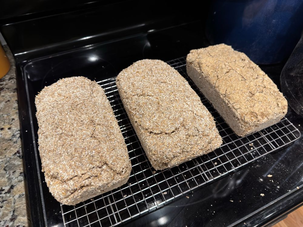 Photo showing three experimental loaves of bappir