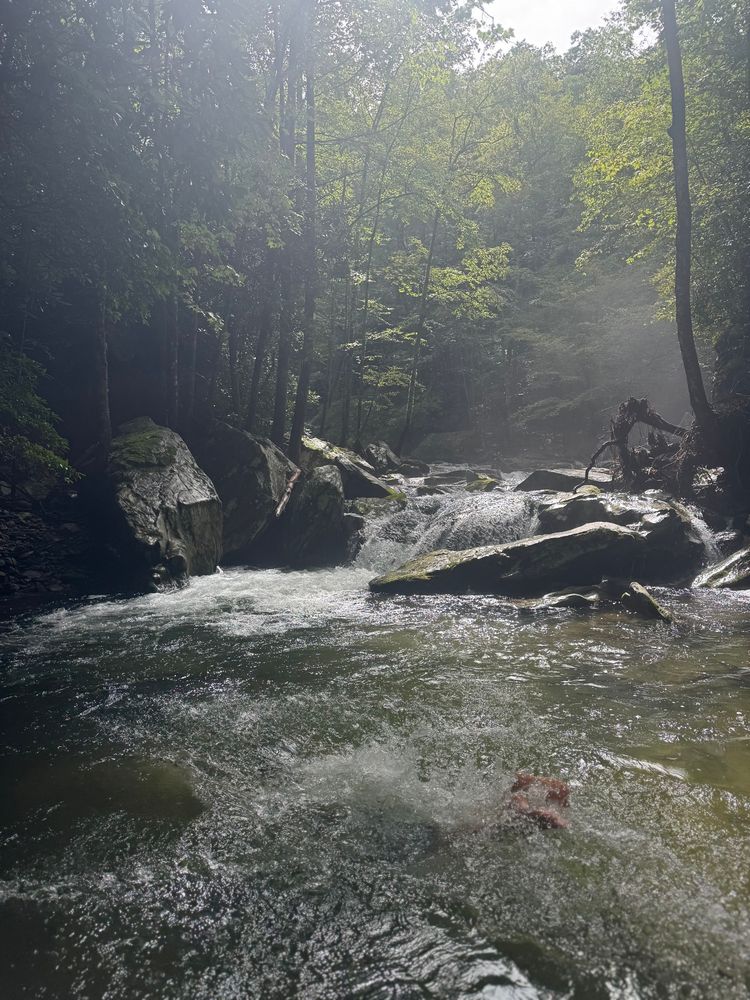 Photo showing a man diving (only his feet visible, the rest of his body submerged) into a mountain creek in dappled sunlight with large boulders, a small waterfall, green forest, and mist rising in the distance 