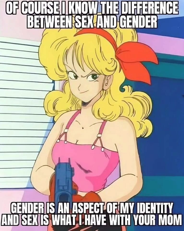 Launch from Dragonball pointing a gun roughly towards the viewer, saying

OF COURSE I KNOW THE DIFFERENCE BETWEEN SEX AND GENDER

GENDER IS AN ASPECT OF MY IDENTITY AND SEX IS WHAT I HAVE WITH YOUR MOM