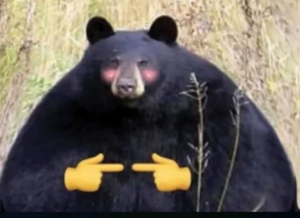 Comment image