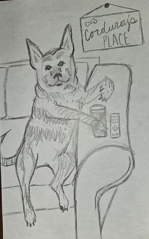 A poorly drawn pet picture of Corduroy sitting on a couch